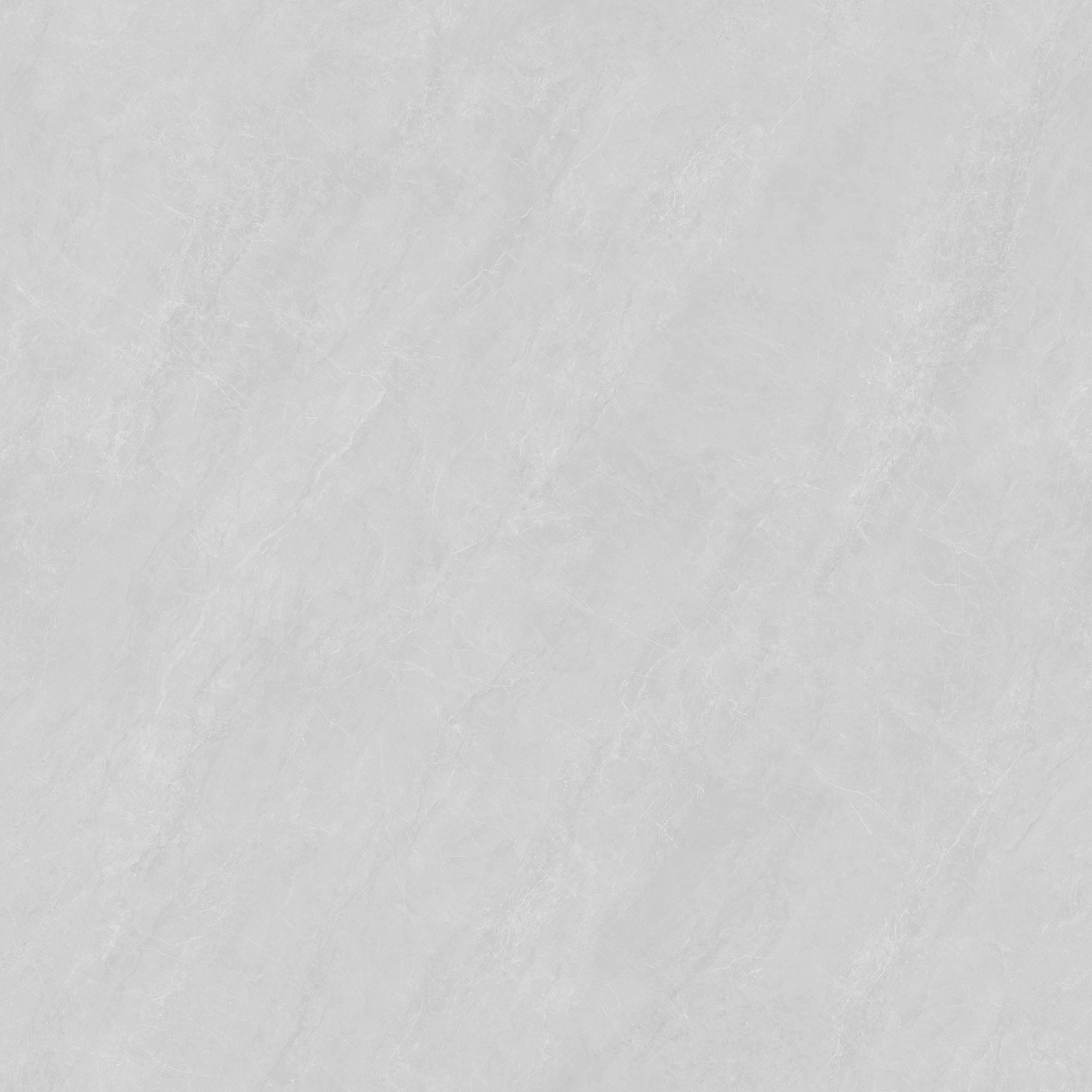 8PY1A019